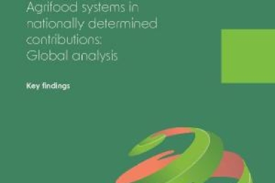 Agrifood Systems in Nationally Determined Contributions: Global Analysis