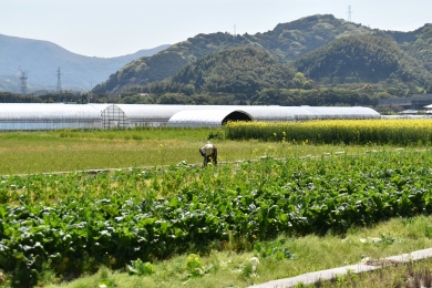 How Japan is using tech and partnerships to protect its agriculture