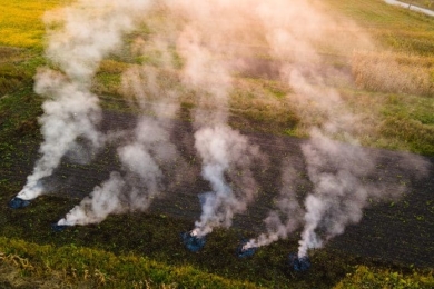 Strategy to cut European agricultural emissions by 40%