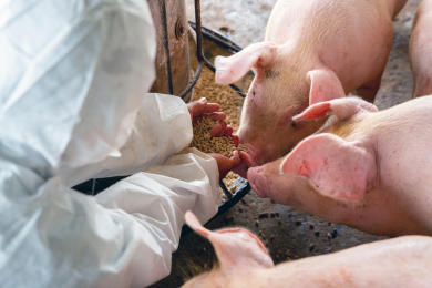 From waste to wealth? The promise and challenges of the circular bioeconomy in Asian agri-food systems