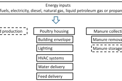 Design considerations for net zero energy buildings for intensive, confined poultry production: A review of current insights, knowledge gaps, and future directions