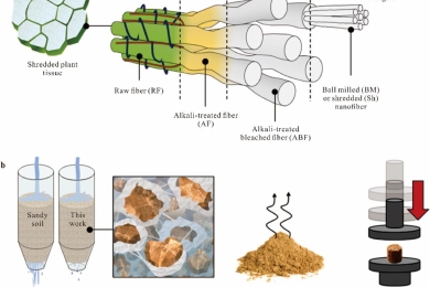 Evaluating nanocellulose from food waste as a functional amendment for sandy soils: Linking fiber structure to water dynamics, soil mechanics, and plant-microbes interactions