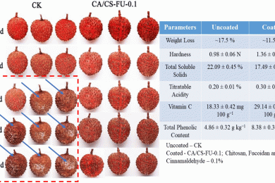 Intelligent & edible biopolymer-based packaging technologies for postharvest shelf-life enhancement of litchi (<span style="font-style:italic;">Litchi chinensis</span>) fruit: a comprehensive review