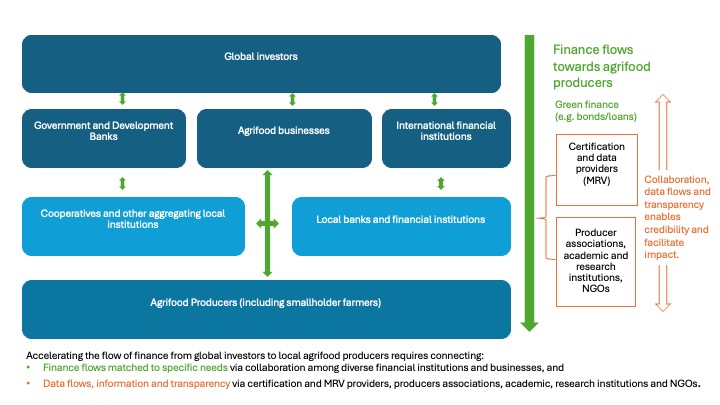 Financial standards can help foster green investment in the agrifood transition