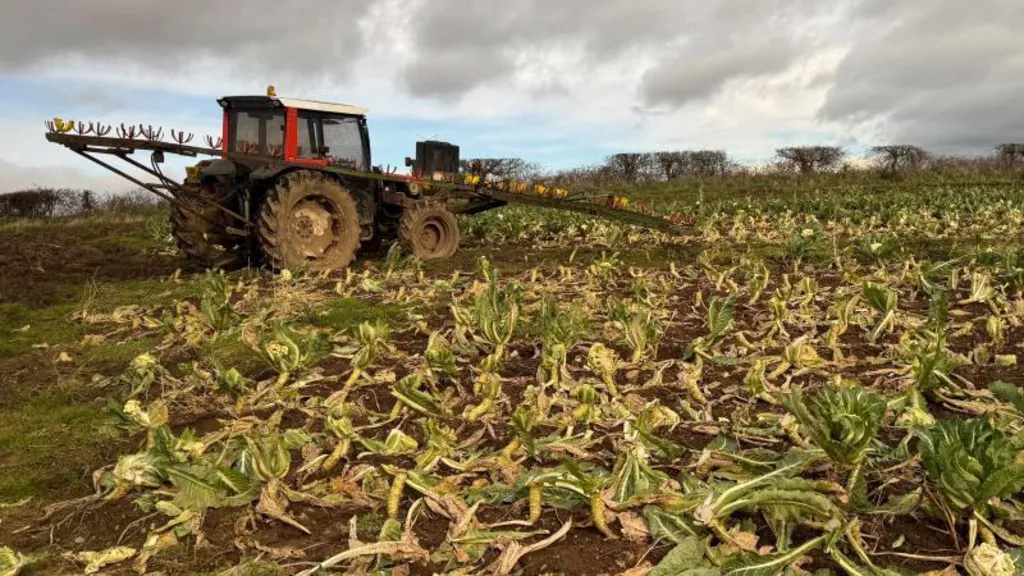 Updated plan aims to boost NI's resilience to climate change