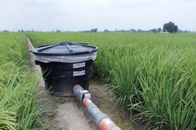 Less methane, more rice: How Google's sustainability initiative could offer a water-positive blueprint for Global South rice farming