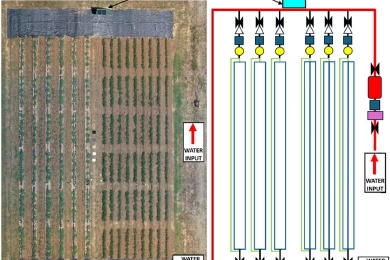 Development of a low-cost smart irrigation system for sustainable water management in the Mediterranean region