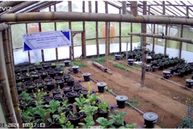 A review on enhancing water productivities adaptive to climate change