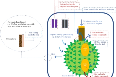 Durian (<span style="font-style:italic;">Durio zibethinus</span>) quality, cultivars, volatile compounds and packaging solutions for global markets: A review
