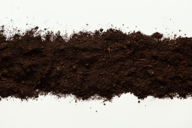 Influence of soil-related factors on distribution of plant-parasitic nematodes in tropical fruit fields in South Florida