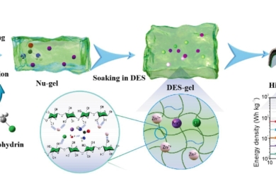 Structural determinants of gelation kinetics in rambutan seed starches: Implications for enhanced precision in 3D food printing