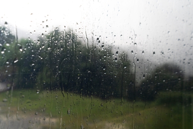 Erratic weather ravages crops, fruit trade