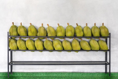 Thailand tightens durian standards in THB150bn export push