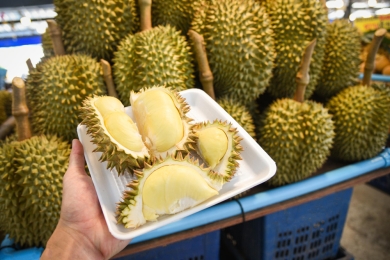Attapeu approves durian plantation project across 528 hectares