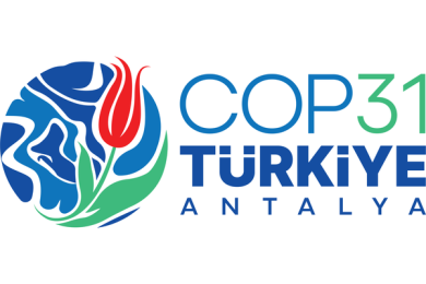The 31st United Nations Climate Change Conference (COP31)
