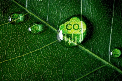 Japanese firms bringing carbon credits to Thailand through greener agriculture