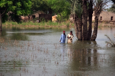 Observing today, protecting tomorrow: How climate services save livelihoods