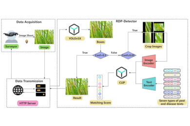 Intelligent survey method of rice diseases and pests using AR glasses and image-text multimodal fusion model