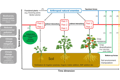 A theoretical framework to improve the adoption of green integrated pest management tactics