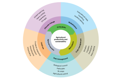 Crop pest responses to global changes in climate and land management