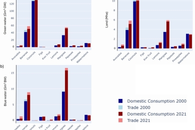 Spatiotemporal patterns of water and land in the global production and consumption of tropical fruits