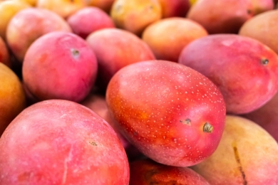 Taiwan targets Europe with first shipment of premium fruits
