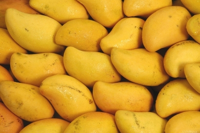 Why Japan has suddenly halted Indian mango shipments after 20 years