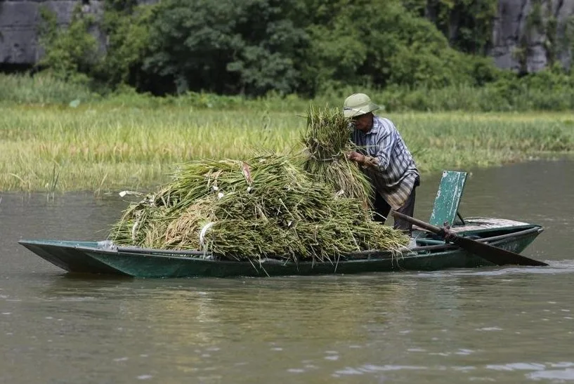 Vietnam’s net-zero push tests limits of state-led climate governance