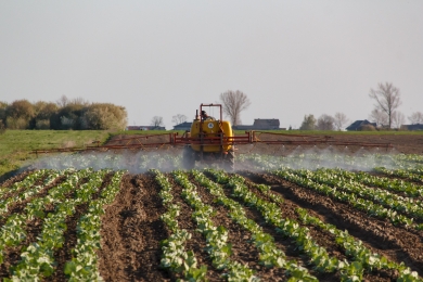 Fertilizer scarcity will affect next harvests and food supplies, FAO warns