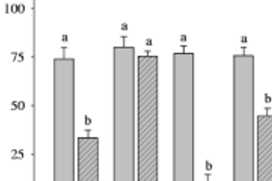 Photosynthetic responses of tropical fruit plants to different temperatures and CO<sub>2</sub> concentrations
