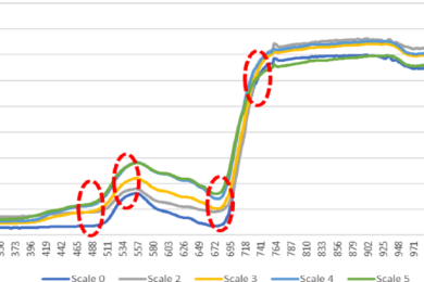 Spectral signatures and vegetation indices response of papaya leaves to <span style="font-style:italic;">Papaya ringspot</span> virus infection under field conditions