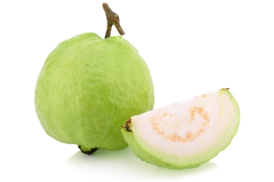 Potential and prospects of guava production in Bangladesh and its contribution to the national economy