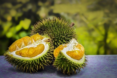Why in-season durian prices in China have dropped 30%... here's the reason
