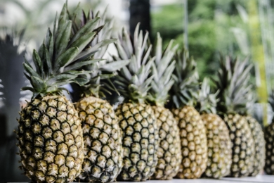 PH premium pineapple reaches Middle East markets