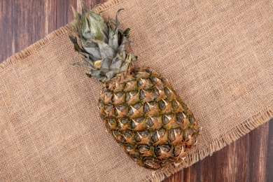 Pineapple successfully cultivated in Oman for the first time in Salalah
