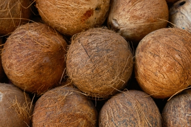 Kelantan entrepreneur develops portable coconut husking tool for global market ambitions