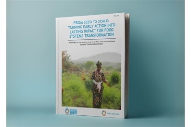 From Seed to Scale: Turning Early Action into Lasting Impact for Food Systems Transformation