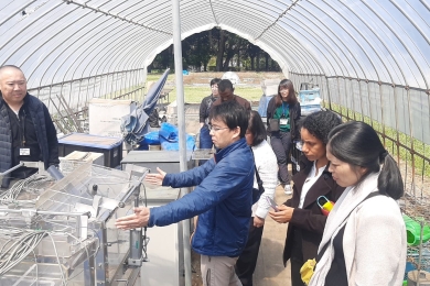 IRRI joins global effort to modernize GHG measurement guidelines for rice