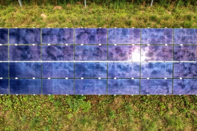 The pathways to a net-zero future