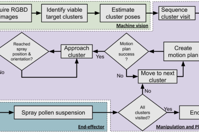 A vision-based robotic system for precision pollination of apples