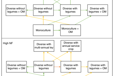 Long-term evidence for ecological intensification as a pathway to sustainable agriculture