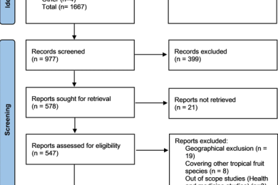 Tropical fruits in the Mediterranean Basin: current research status, priorities, and knowledge gaps. A systematic review