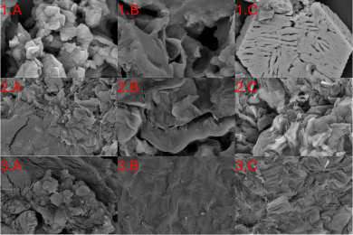 Green pretreatment of tropical fruit peels using triethylammonium hydrogen sulfate: A route toward sustainable biomass valorization