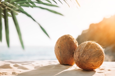 Farmer’s coconut dehusking invention gets a shot at cracking the durian market