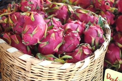 Vietnamese dragonfruit exports dip following prolonged rains
