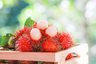 Kerala farmers turn to rambutan as a profitable alternative to rubber