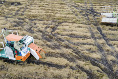 Scaling up sustainable rice straw management requires coordinated technologies and markets