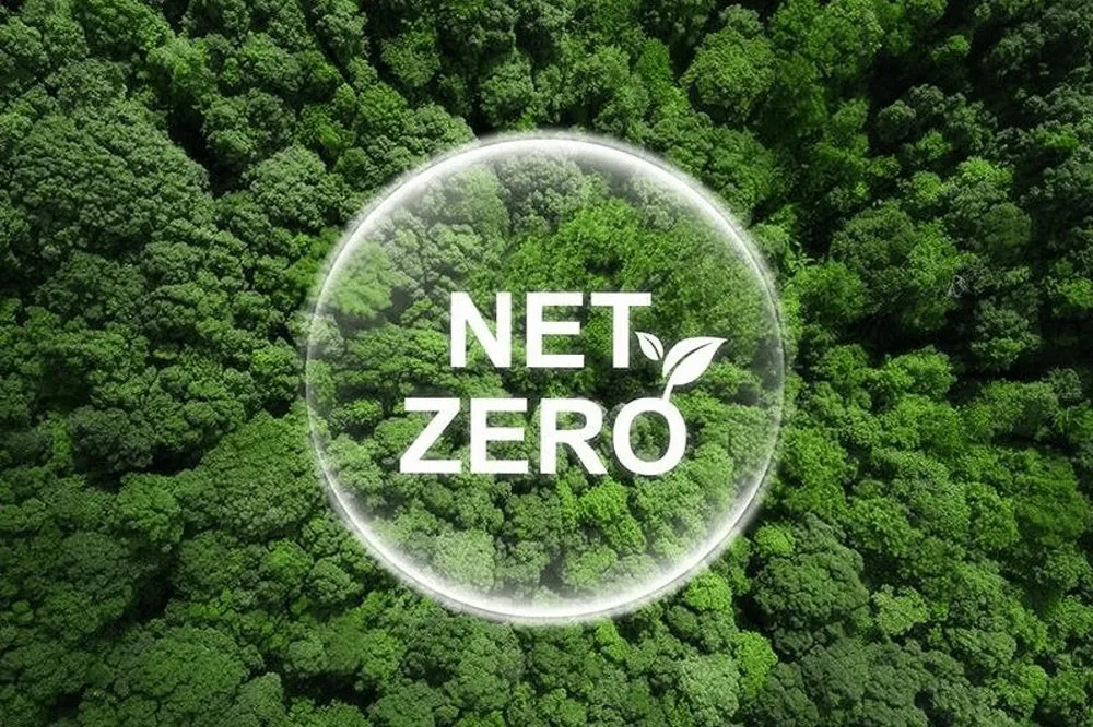 New report maps definitions and frameworks for net-zero, nature positive finance
