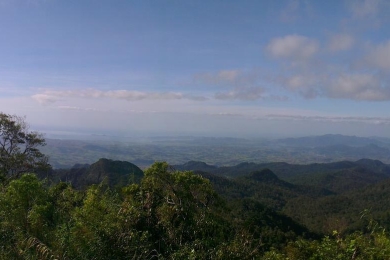 Green Climate Fund approves $52.5 million to restore Fiji’s forest  landscapes