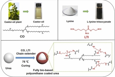 Fully bio-based polyurethane coating for environmentally friendly controlled release fertilizer: Construction, degradation mechanism and effect on plant growth